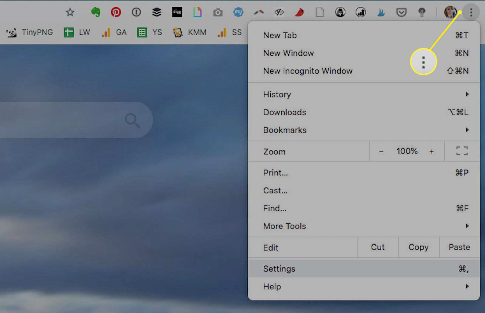 Настройки PDF в браузере Chrome