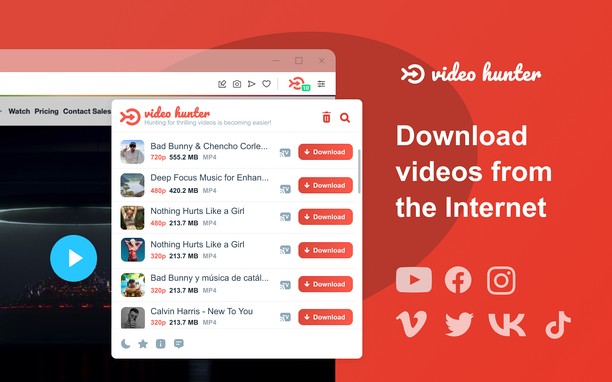 Video Hunter Downloader — список обнаруженных файлов и кнопки скачивания