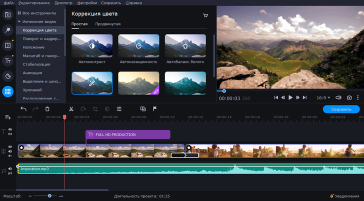 Скриншот интерфейса Movavi Video Editor