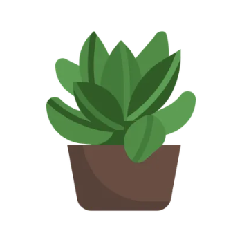 Интерфейс CarePlant
