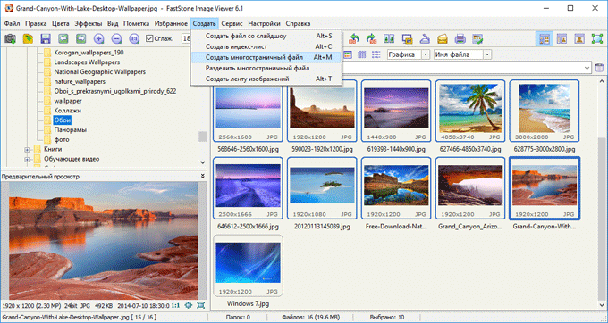 Интерфейс FastStone Image Viewer для просмотра и отбора фото