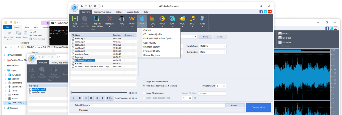 Интерфейс AVS Audio Converter