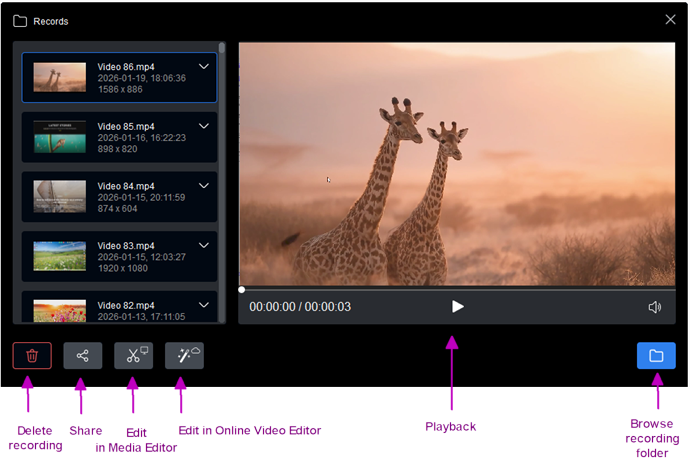 Раздел Records в HyperCam