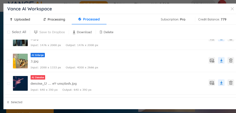 Вкладка Processed в VanceAI Workspace