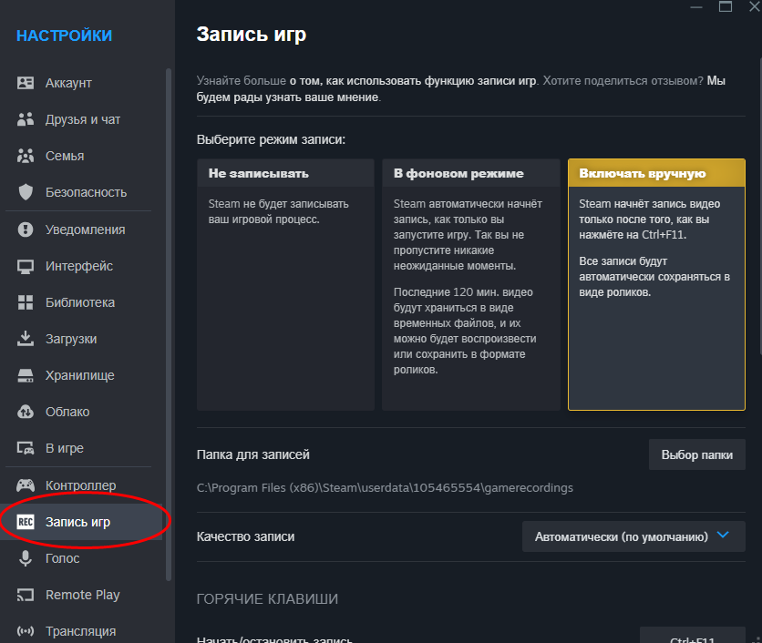 Steam Game Recording