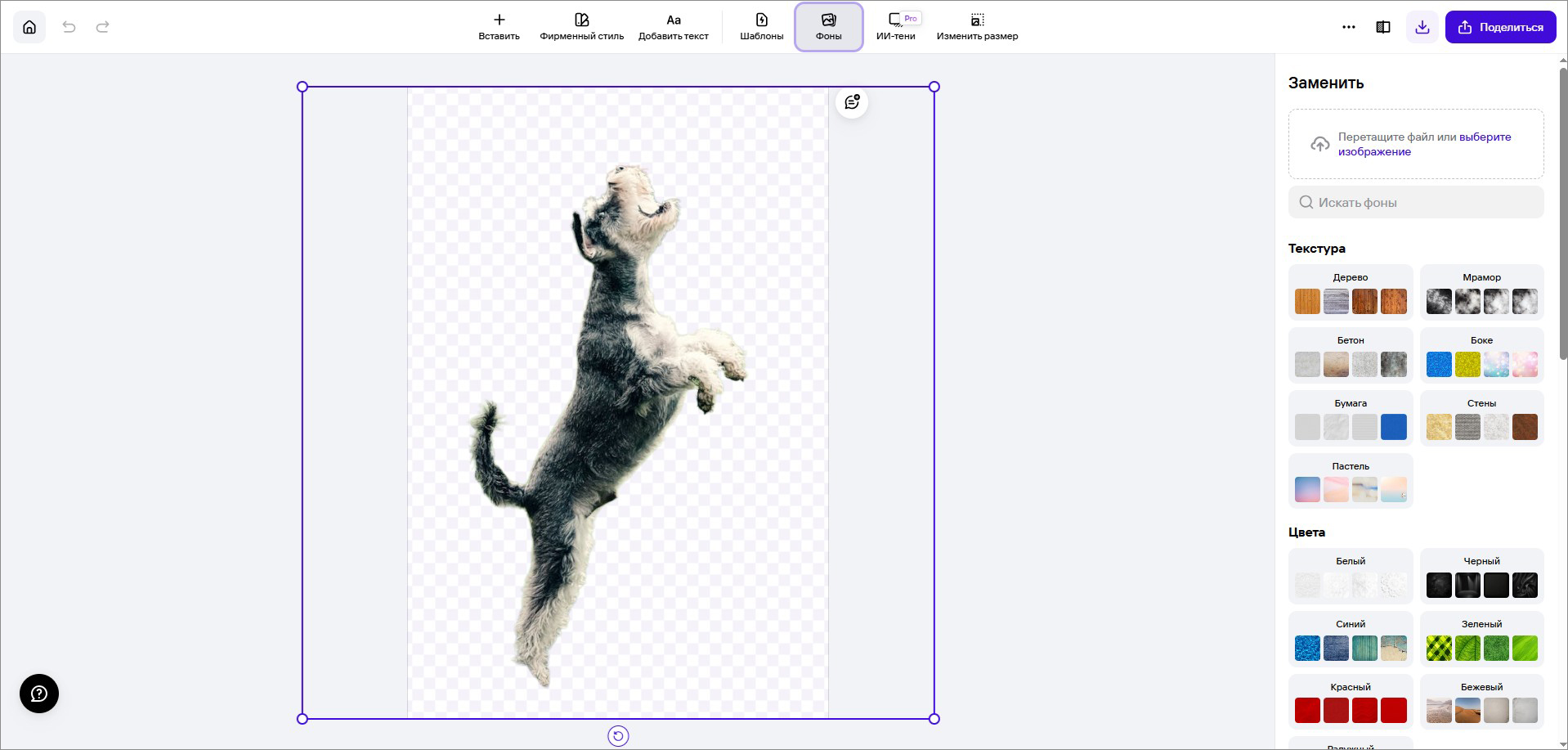 Photoroom — скриншот интерфейса