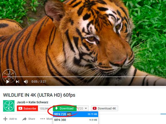 SaveFrom.net Helper — раскрывающийся список форматов и качества