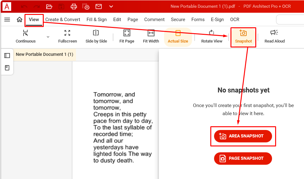 Snapshot во вкладке View в PDF Architect