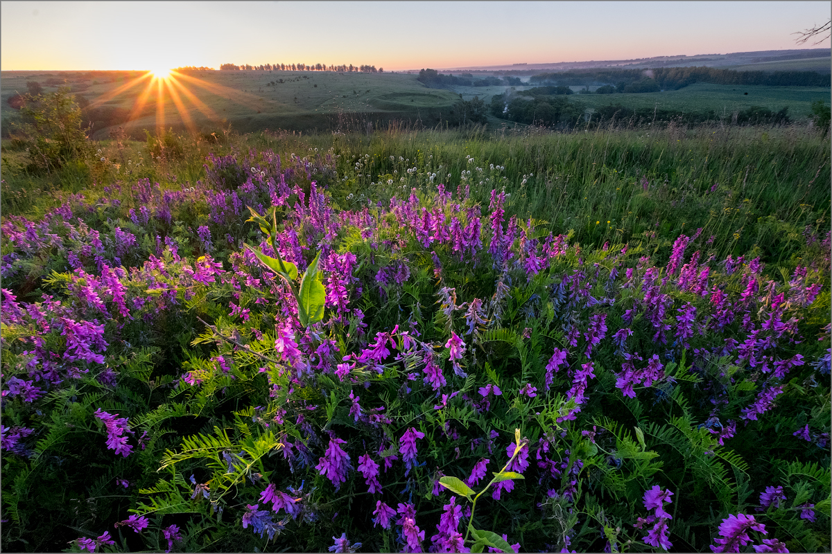 Lightroom: пример поэтапной обработки пейзажа
