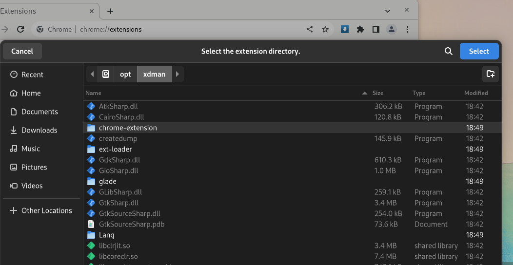 Выбор каталога chrome-extension при подключении XDM к браузеру