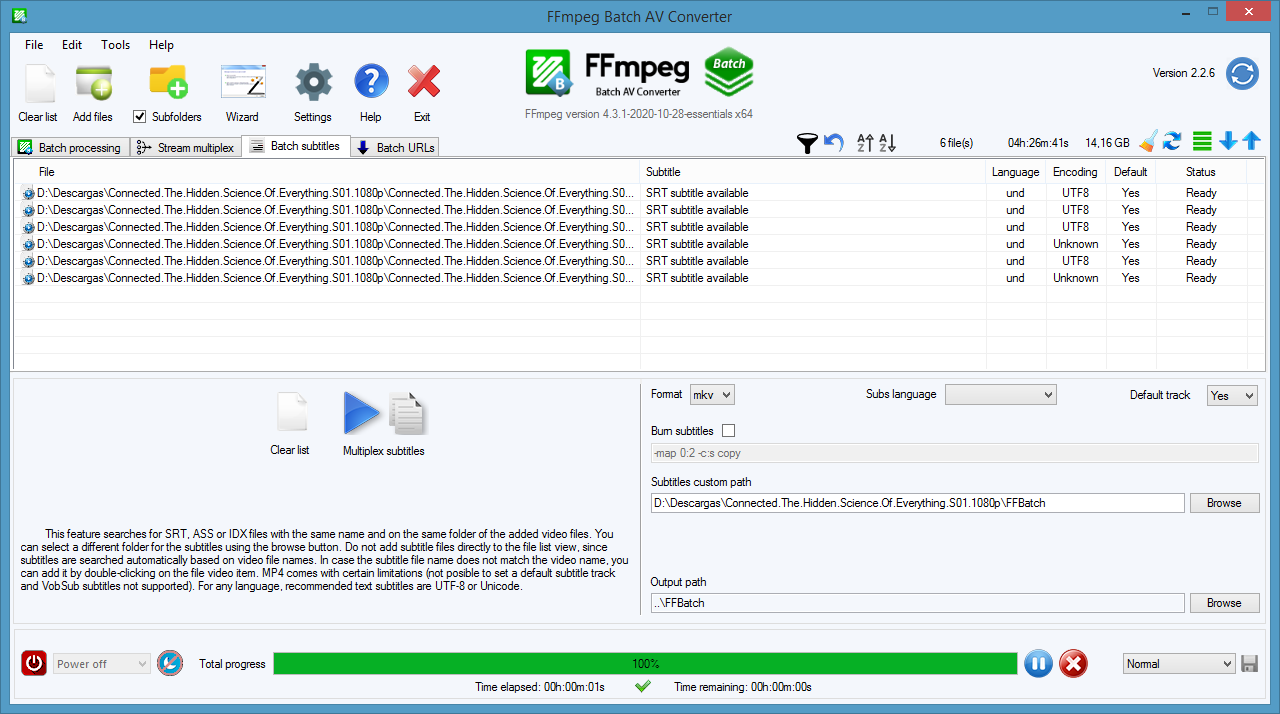 Вкладка Batch subtitles в FFmpeg Batch AV Converter для пакетного добавления и прожига субтитров