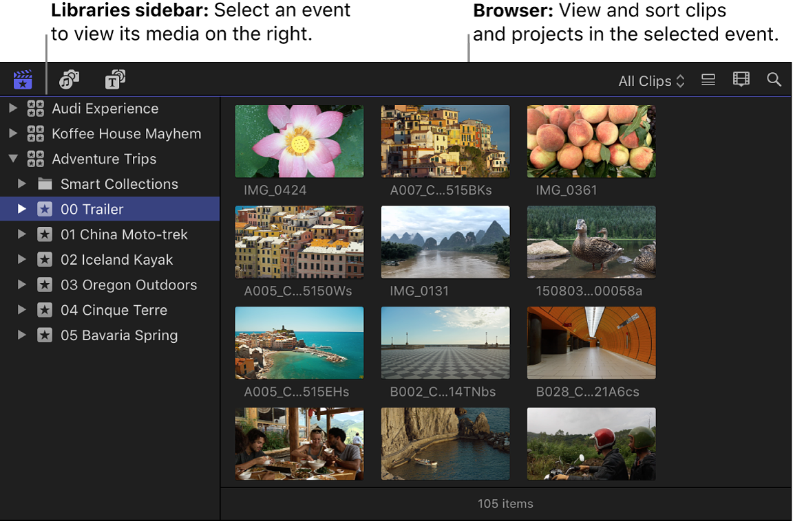 Final Cut Pro: Libraries sidebar и Browser