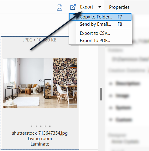 Меню Export в Daminion с командами Copy to Folder, Send by Email, Export to CSV и Export to PDF