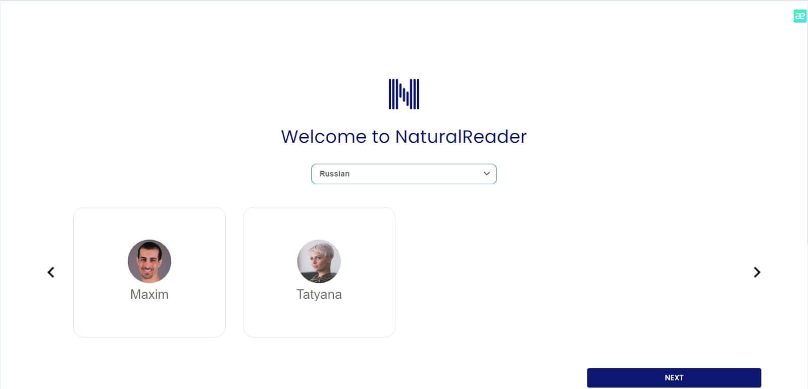 Интерфейс NaturalReader
