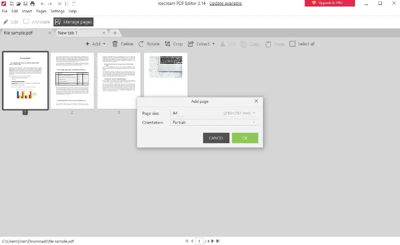 Добавление страницы в режиме Manage pages
