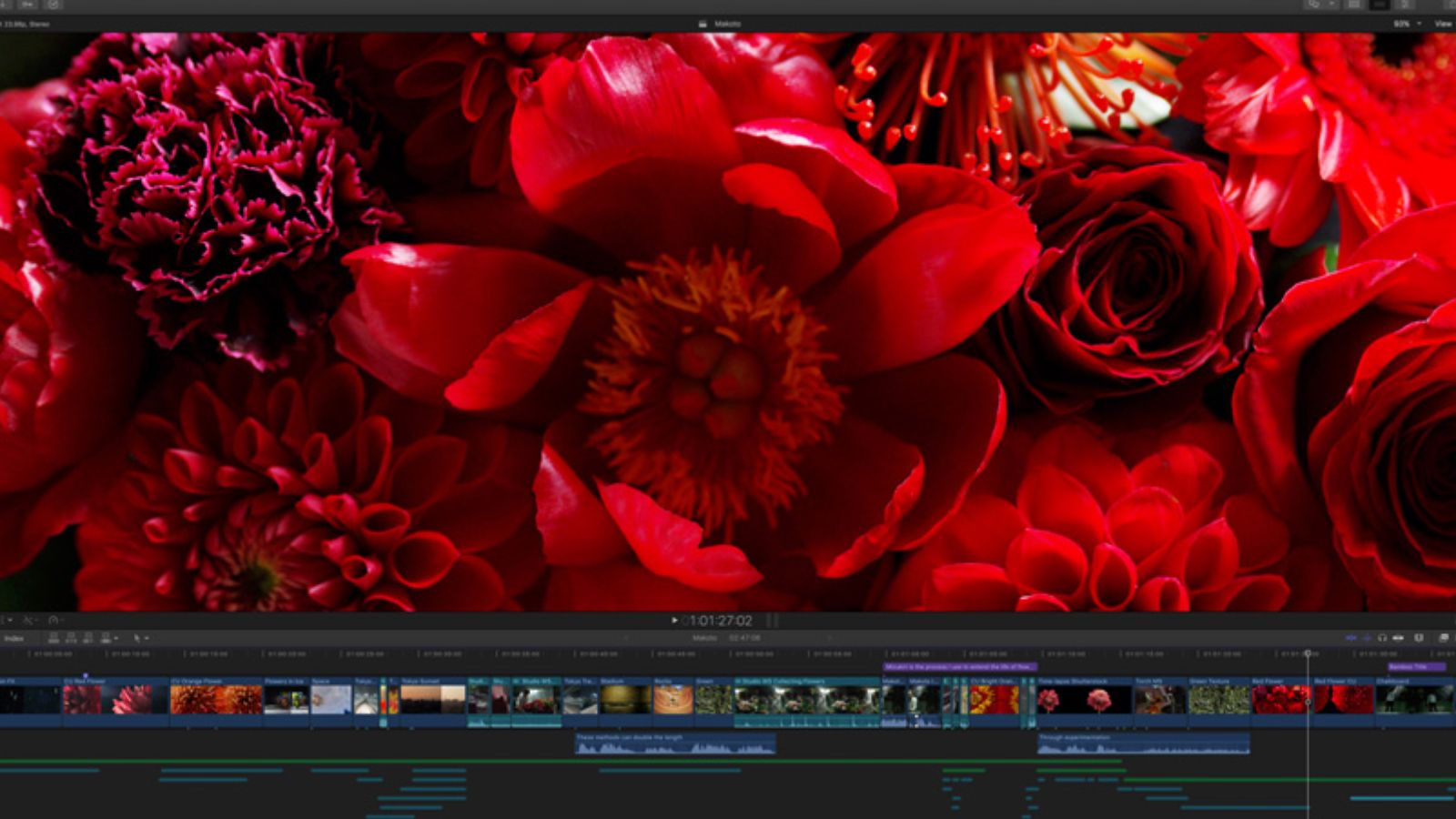 Скриншот интерфейса Final Cut Pro