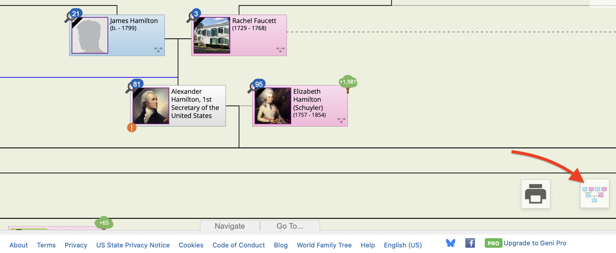 Geni — печать и настройка диаграммы