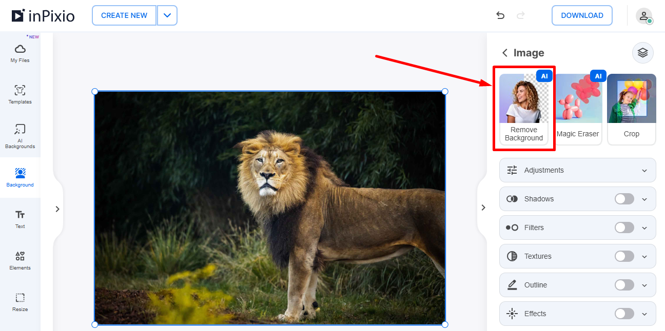 Кнопка Remove Background на правой панели InPixio Online Photo Editor
