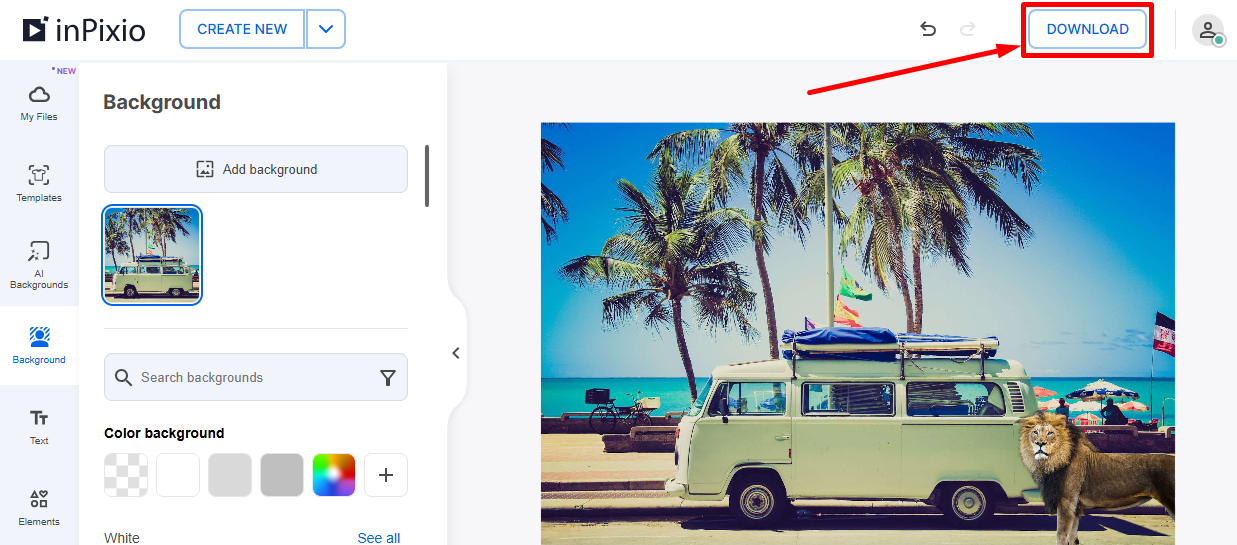Кнопка DOWNLOAD в InPixio Online Photo Editor