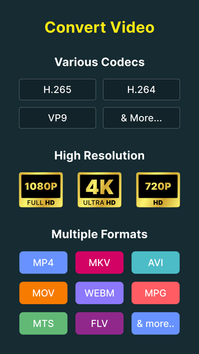 Скриншот The Video Converter на iOS с поддержкой MP4 и MKV