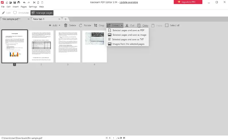 Подменю Extract в Icecream PDF Editor
