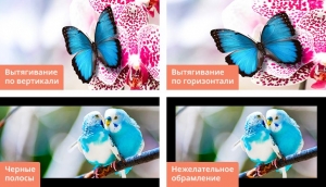 Портретное кадрирование