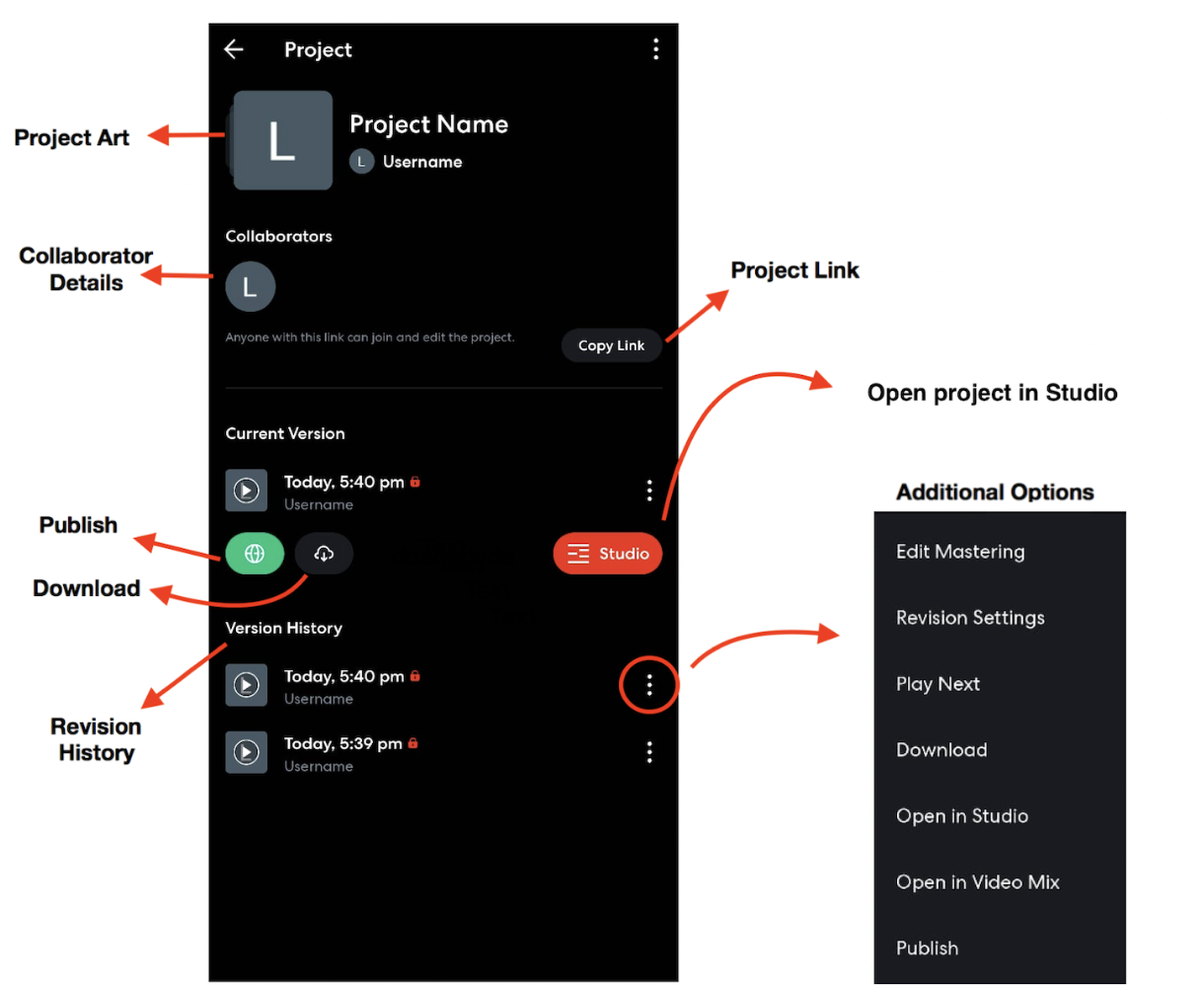 Экран Project Page в BandLab