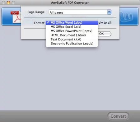 Окно настроек формата в AnyBizSoft PDF Converter для Mac