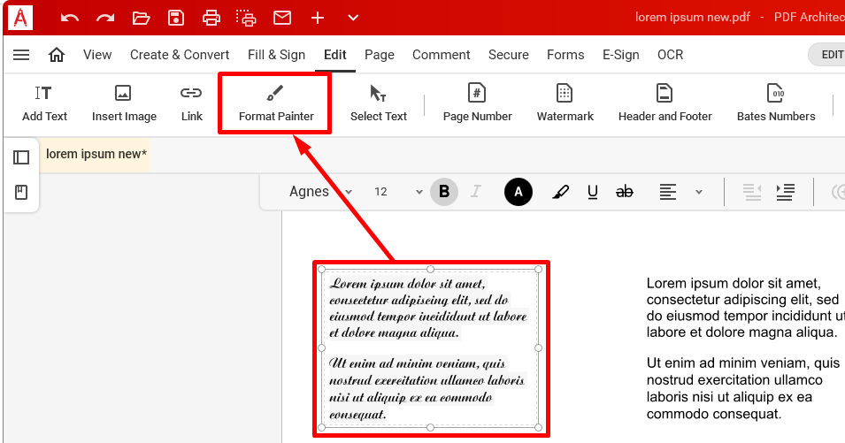 Format Painter в PDF Architect