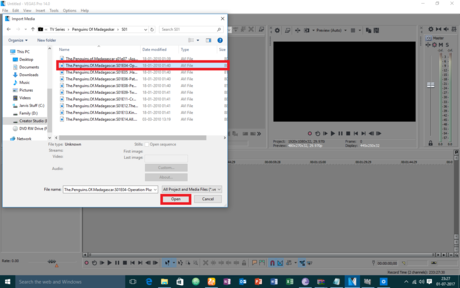 Sony Vegas Pro: окно выбора эффекта Black and White