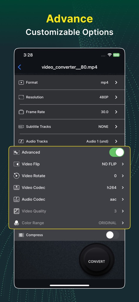 Выбор параметров в Video Converter and Compressor