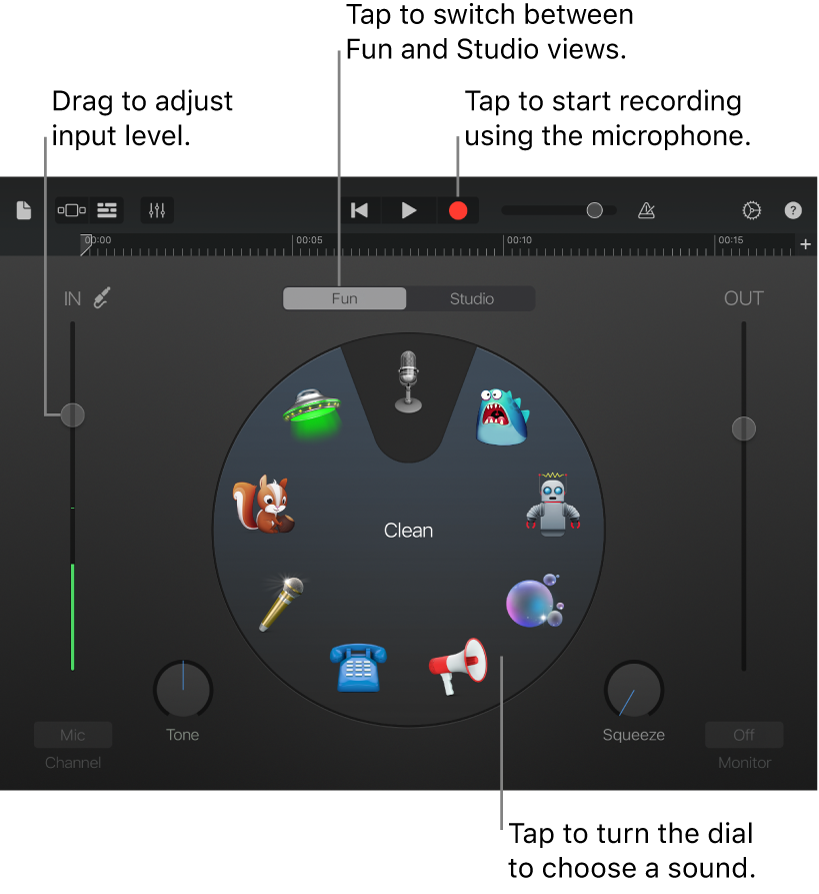 Audio Recorder в GarageBand для iPad — Fun view