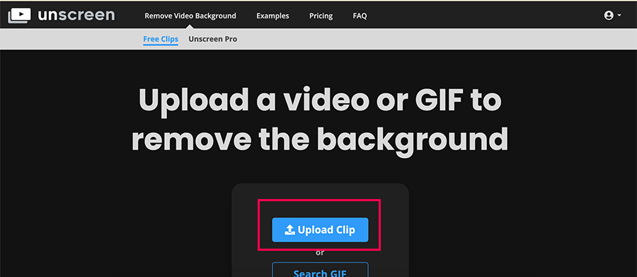 Интерфейс Unscreen