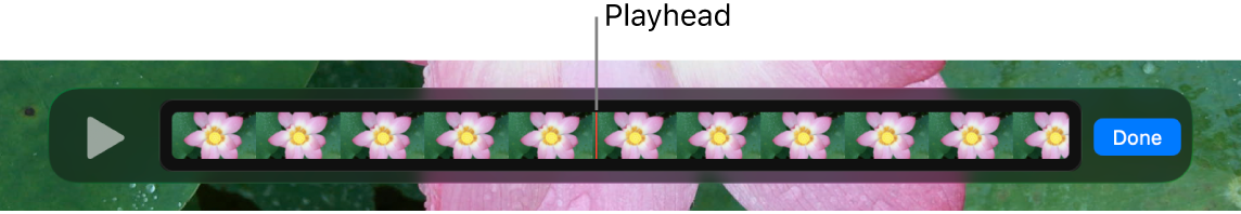 Режим Show Clips и разделение ролика на клипы