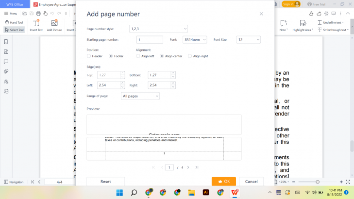WPS Office: окно настройки номера страницы