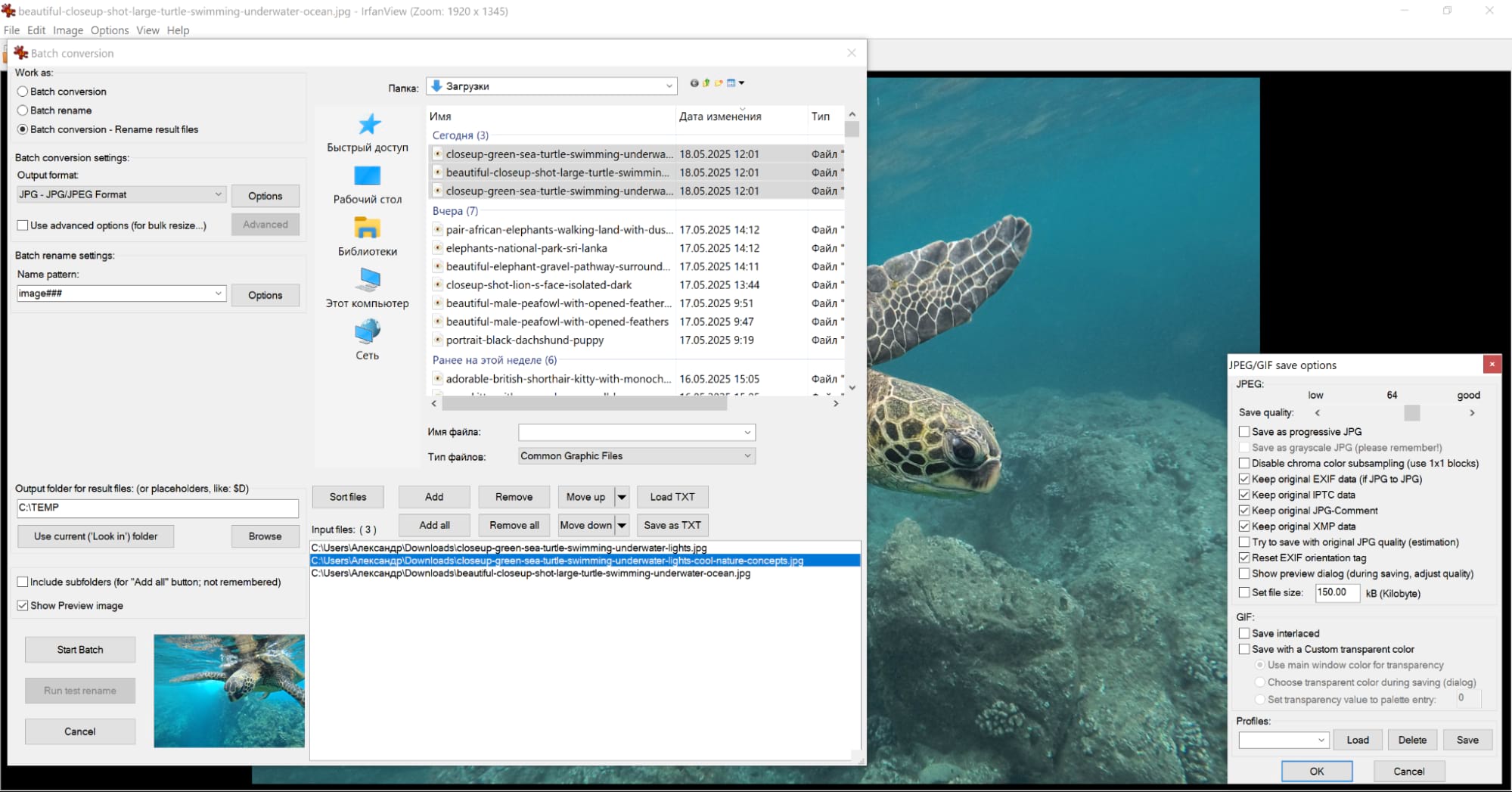 Интерфейс IrfanView