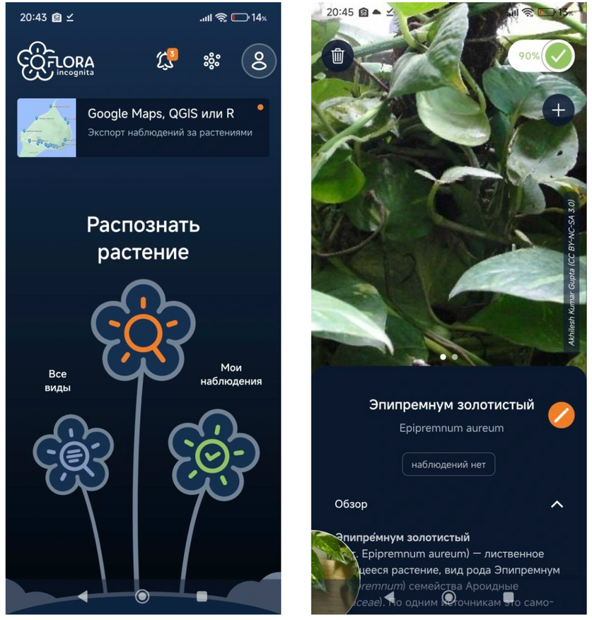 Интерфейс Flora Incognita