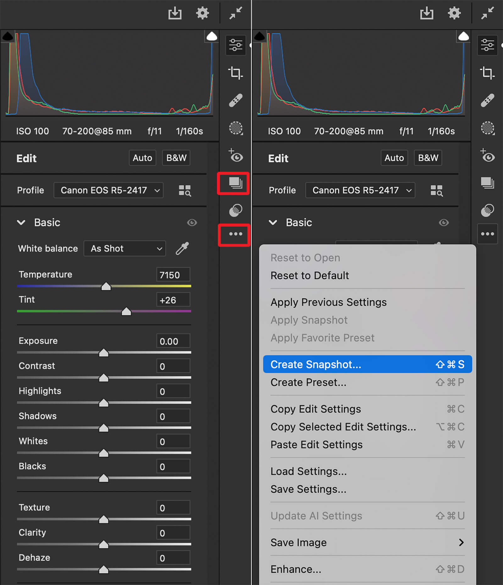 Camera Raw: пример интерфейса