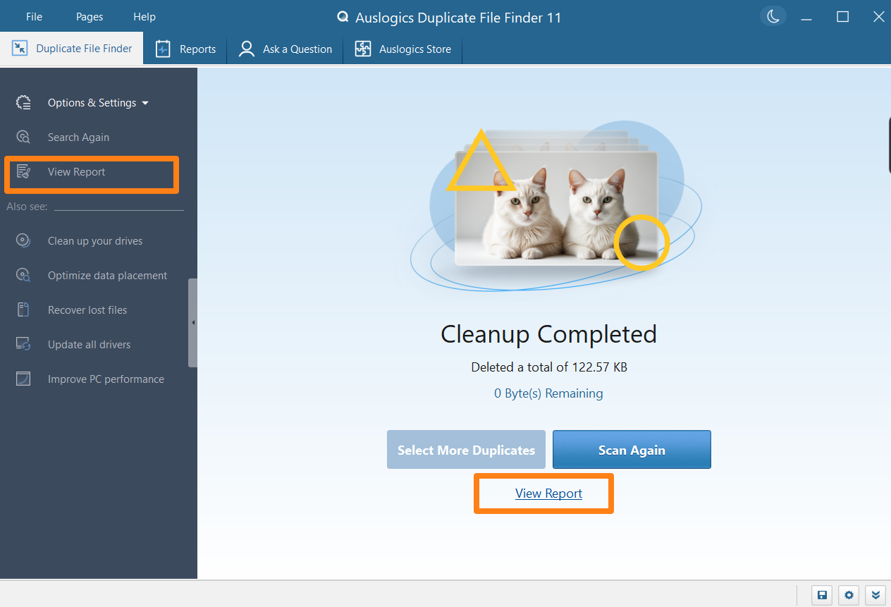 Экран Cleanup Completed после удаления выбранных копий
