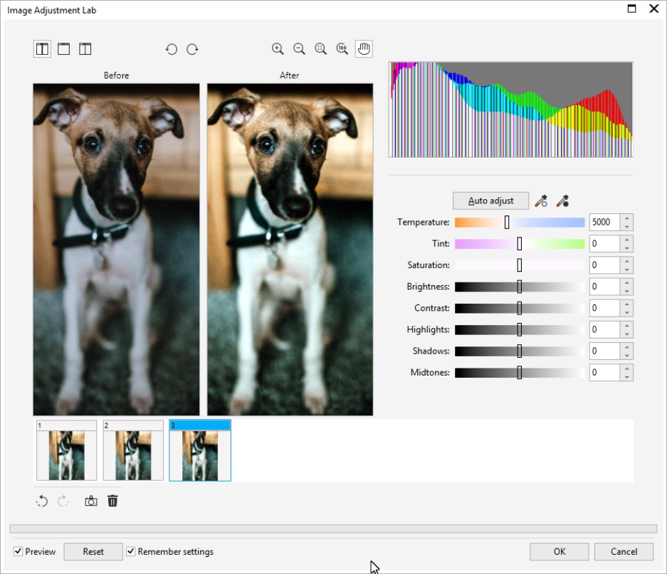 Image Adjustment Lab в Corel PHOTO-PAINT
