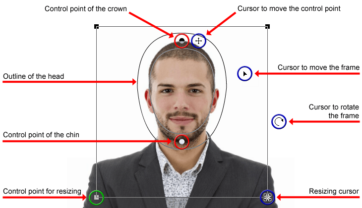 PassportPhoto 4 You — страница Crop с контуром головы и управляющими точками