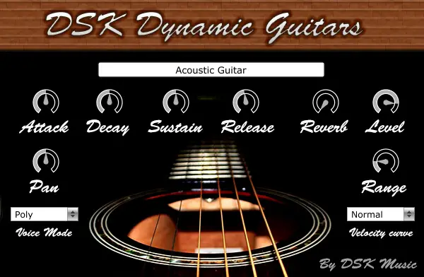Интерфейс DSK Dynamic Guitars