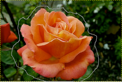 Предварительное выделение объекта в Foreground Select Tool