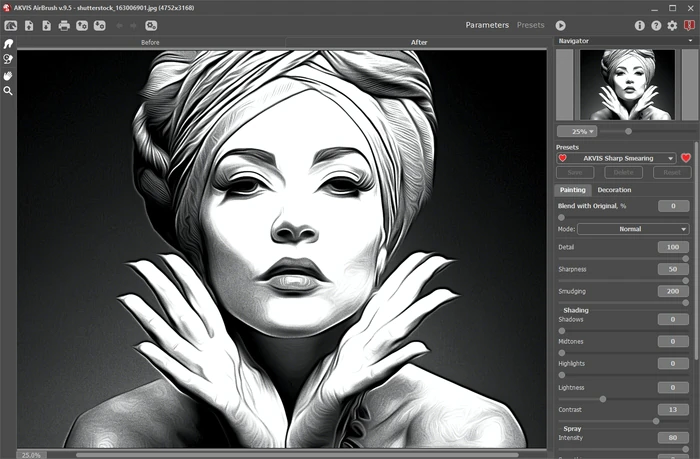Рабочее пространство AKVIS AirBrush в режиме Parameters