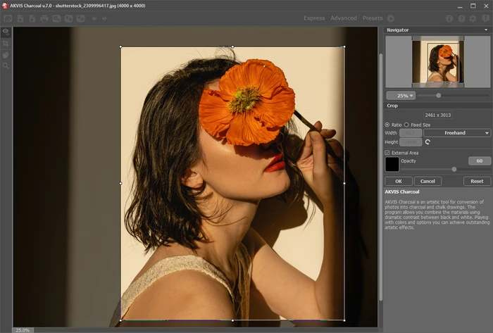 Инструмент Crop в AKVIS Charcoal