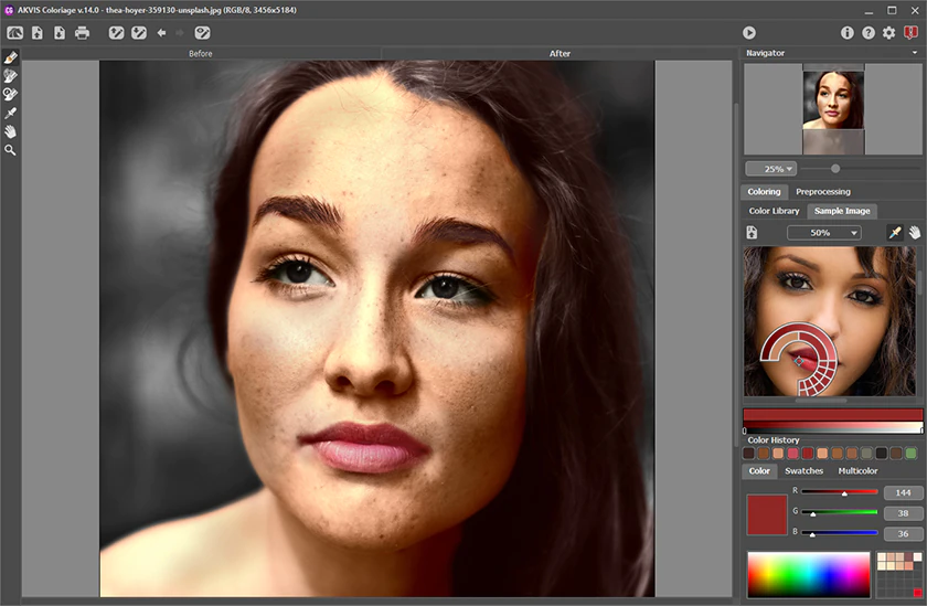 Библиотека и выбор цвета в AKVIS Coloriage