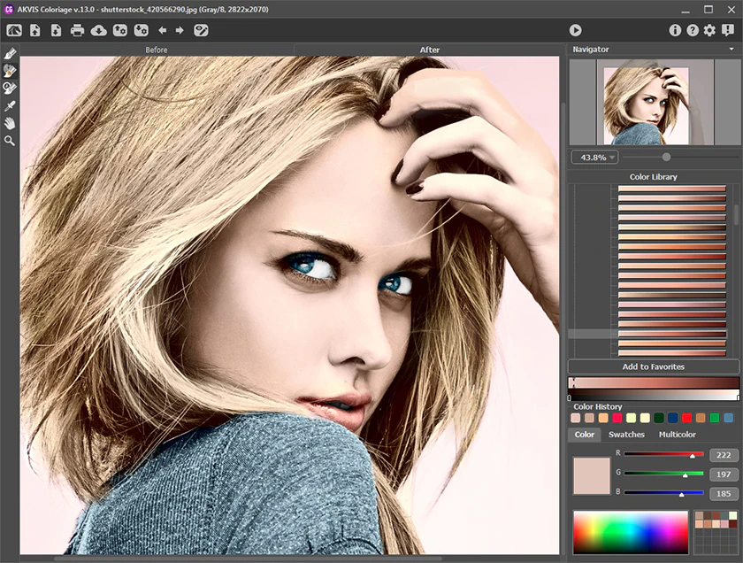 Картинка-образец и выбор оттенка в AKVIS Coloriage