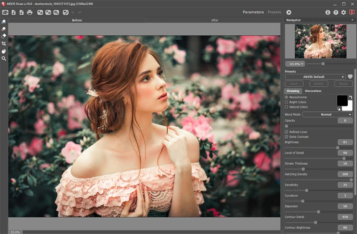 Фотография во вкладке До в AKVIS Draw