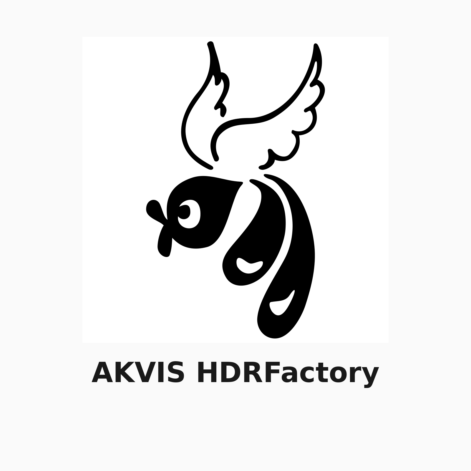AKVIS HDRFactory