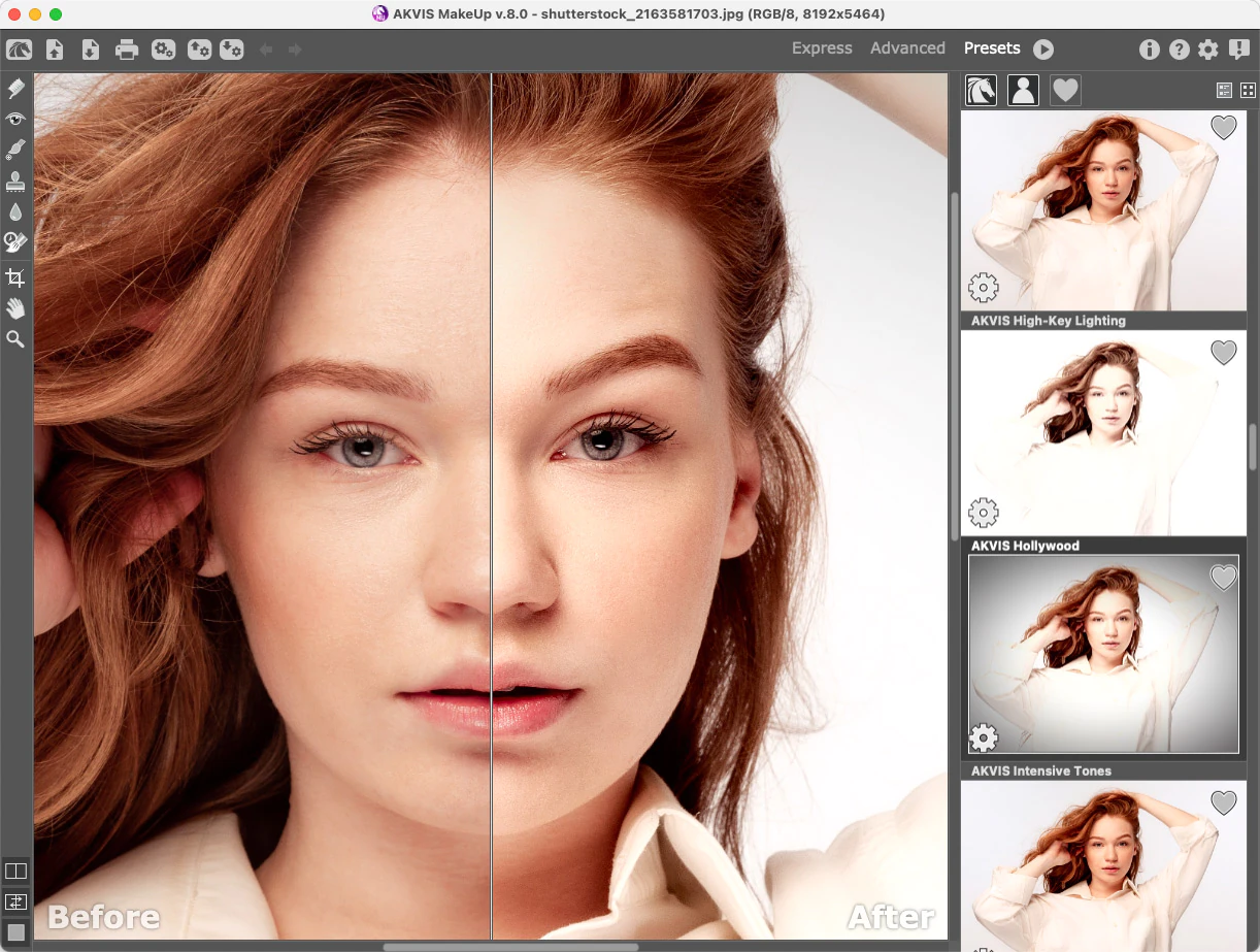 Галерея Presets в AKVIS MakeUp